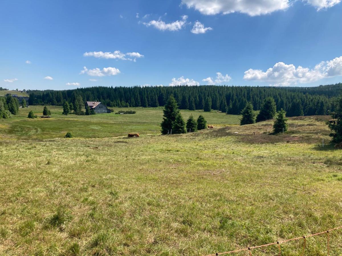 Apartmany V Lese Bedřichov Eksteriør bilde